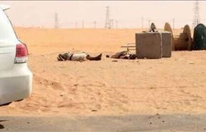 حمله انتحاری به یک ساختمان دولتی در عربستان