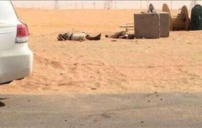 مسلحان يفجران نفسيهما في مبنى حكومي جنوبي السعودية