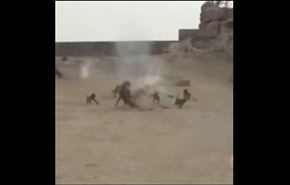 فيديو: شباب يقدمون للقرود طعاما مع متفجرات !!