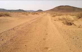 همکاری شرلوک هولمز عربستانی با نیروهای امنیتی!