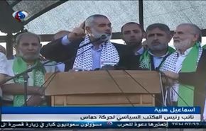آغاز فعالیت ماهیگیری صیادان غزه  + فیلم