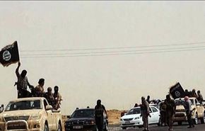 هماهنگی داعش و آمریکا در مصر