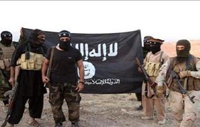 عضو بمجلس الشيوخ يسعى لتجريد الدواعش من الجنسية الاميركية