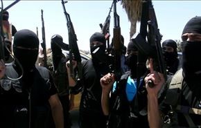 خلية مغربية تلتحق بـ