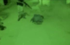 القاعدة ينشر تسجيلاً لعملية ذبحه 14جنديا يمنيا بحضرموت+فيديو وصور