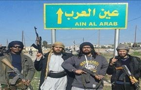 چند نفر در درگیری‌های کوبانی قربانی شده‌اند؟