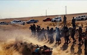خشن‌ترین عناصر داعش، سعودی هستند