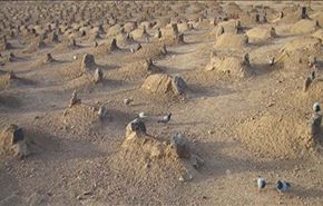 نوبت دادگاه در عربستان برای اثبات زنده بودن!