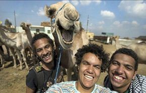 صورة.. جمل يحول شبابا مصريين إلى نجوم