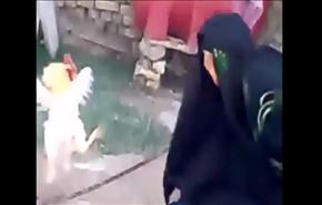 جنگ دیدنی 