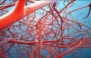 تقنية جديدة للإسراع في توليد العروق الدموية