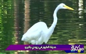 حديقة الطيور في ريودي جانيرو
