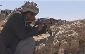بالفيديو، ماالذي تقوم به اللجان الشعبية باليمن، وتعجز عنه الدولة؟