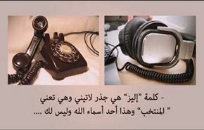 بالفيديو...اتصال خاطئ يظهر حب عجوز بلجيكية للاسلام