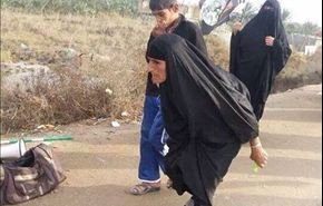 مساهمات الزائرين :بدء مسيرة العشق الحسيني لبيك ياحسين