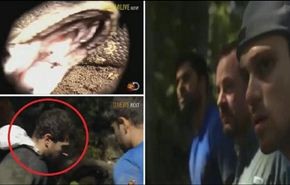 فيديو
