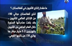 ما مقدار انتاج الافيون في افغانستان؟