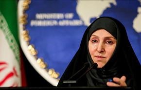 ایران تدین الاعدام المروع للطیار الاردني على ايدي 