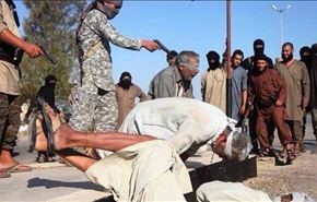 داعش 5 شیخ عشیره را در عراق اعدام کرد