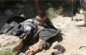 هلاکت 41 داعشی در مناطق مختلف الانبار