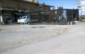 بالصور: 