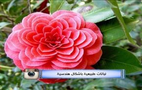 تحذير أممي من انهيار اليمن بفعل نفاد المحروقات والغذاء