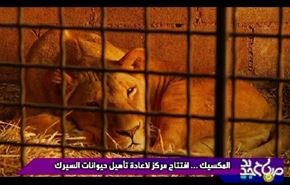 المكسيك افتتاح مركز لاعادة تاهيل حيوانات السيرك