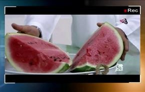 كيف حول المغرضون البطيخ الإيراني إلى سلاح فتاك ؟