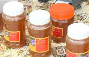 الاعشاب الطبية في ايران