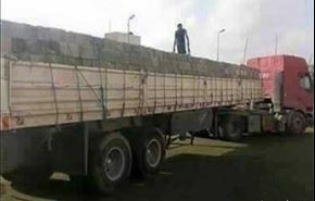 کشف موش‌های داعشی دربلوکهای سیمانی +عکس
