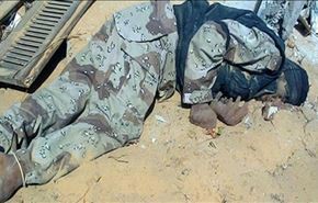 240 عنصر مسلح در شمال سینا کشته شدند