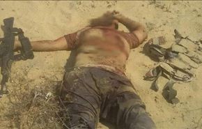 مصر... الجيش يقضي على أحد قياديي تنظيم 