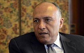 مصر: سوری‌‌ها درباره اسد تصمیم گیرنده هستند