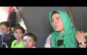 فيديو.. 
