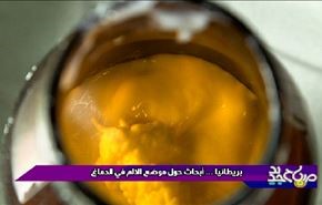 بريطانيا، ابحاث حول موضع الالم في الدماغ
