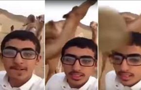 شاهد.. جمل يعاقب شابا اراد التقاط سلفي معه!
