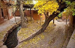 صور رائعة من قرية 