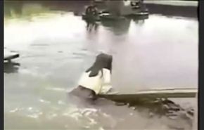 شاهد لحظة سقوط مذيعة في بحيرة أسماك على الهواء