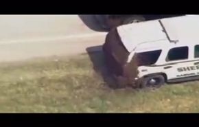 لماذا هاجمت أسراب النحل سيارات الشرطة الاميركية؟ فيديو
