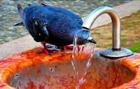 گرما در سال 2070 با ما چه می کند؟