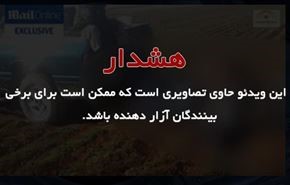 فیلمی هولناک از مغز متفکر حملات پاریس