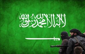 إضربوا رأس الافعى بالرياض
