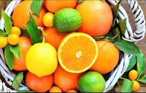 ارسال اولین محموله از مرکبات سوریه به روسیه