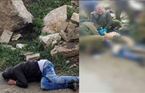 شمار شهدای انتفاضه فلسطین به 126 نفر رسید