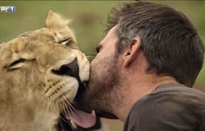 فیلم؛ دوستی باورنکردنی شیرها با مربی خود
