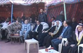 بالفيديو..