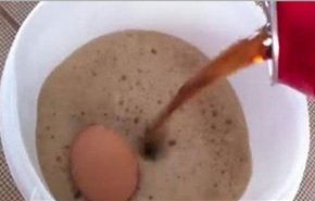شاهد.. ماذا يحدث للبيضة عند وضعها في كوكا كولا!!