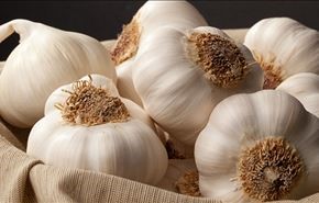 الثوم لمكافحة الرشح في ثلاث ساعات فقط