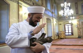 امام جماعت دوست گربه ها!+تصاویر