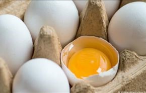 هكذا تحافظ على بيض طازج وصحي لمدة طويلة